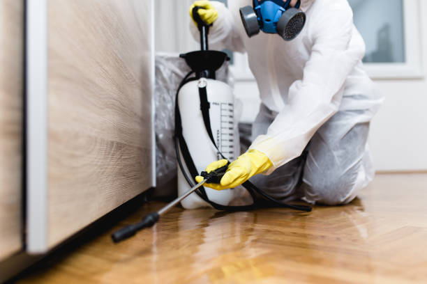Reliable Trempealeau, WI Pest Control Solutions