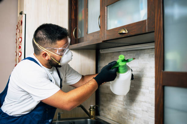 Best Cockroach Control Services  in Trempealeau, WI