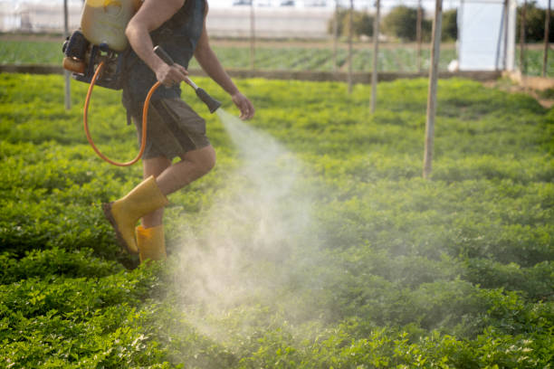 Best Wasp Removal Services  in Trempealeau, WI