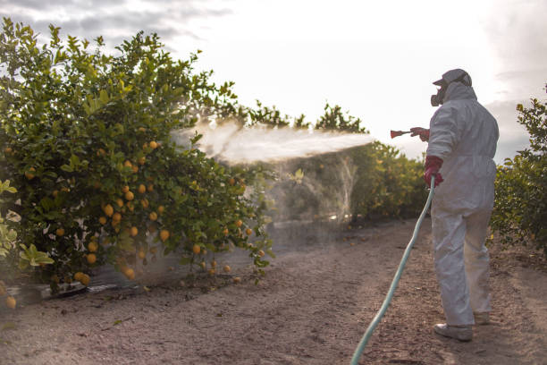 Best Pest Removal Services  in Trempealeau, WI
